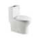 1.28 GPF Round Compact One Piece Dual-Flush Toilet with Soft-Closing Seat,MAP Flushing 1000G