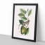 Lizard by Mark Catesby - Picture Frame Painting Print-55580779-55580784