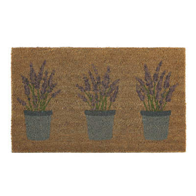 Bryn Non-Slip Indoor Doormat