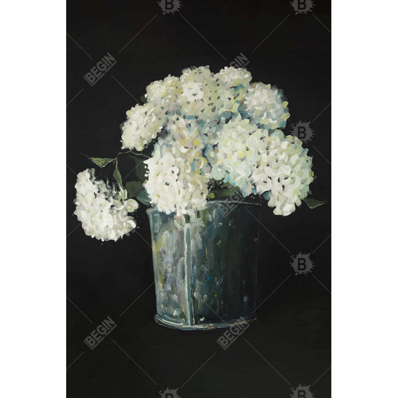 " White Hydrangea Flowers "