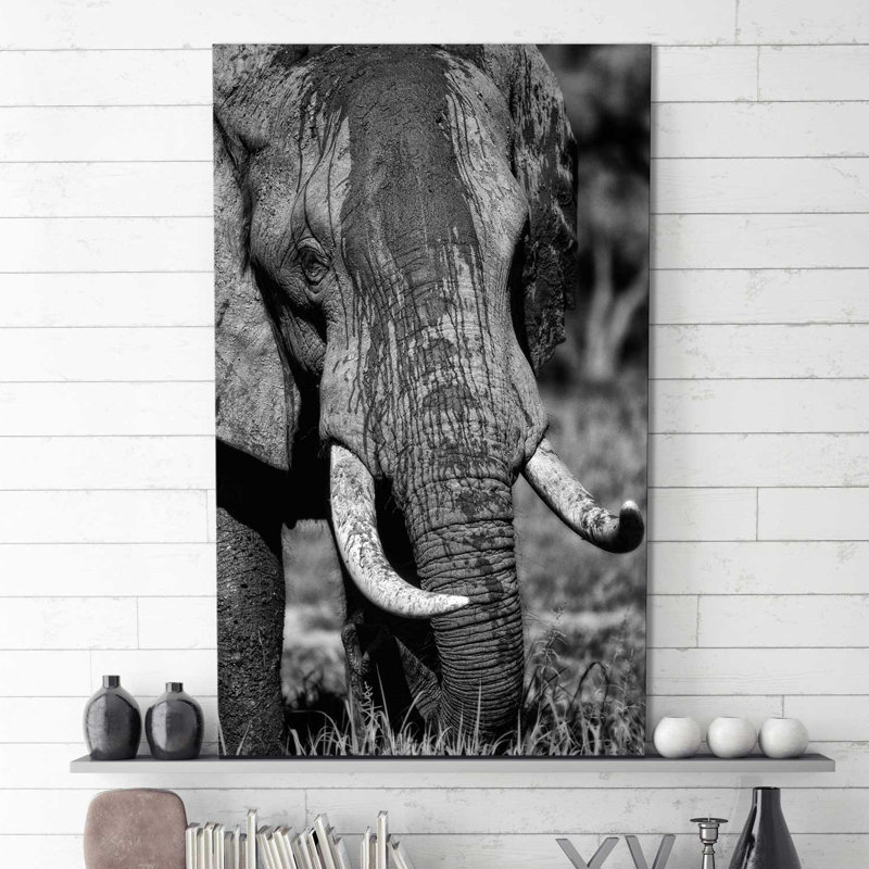 «Golden Eyes», reproduction de photo, H 30 po x l 18 po x P 1 po, Toile tendue