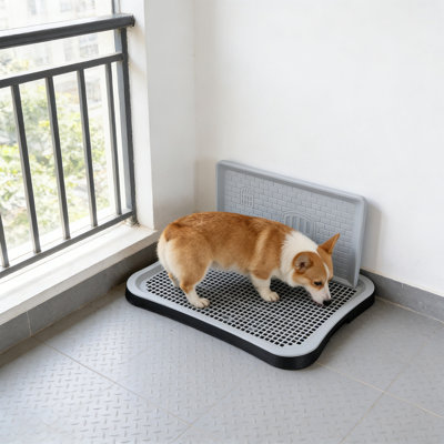 Dog Potty Tray with Spatter Guard, 19.69x15.55x1.57 inches, Black
