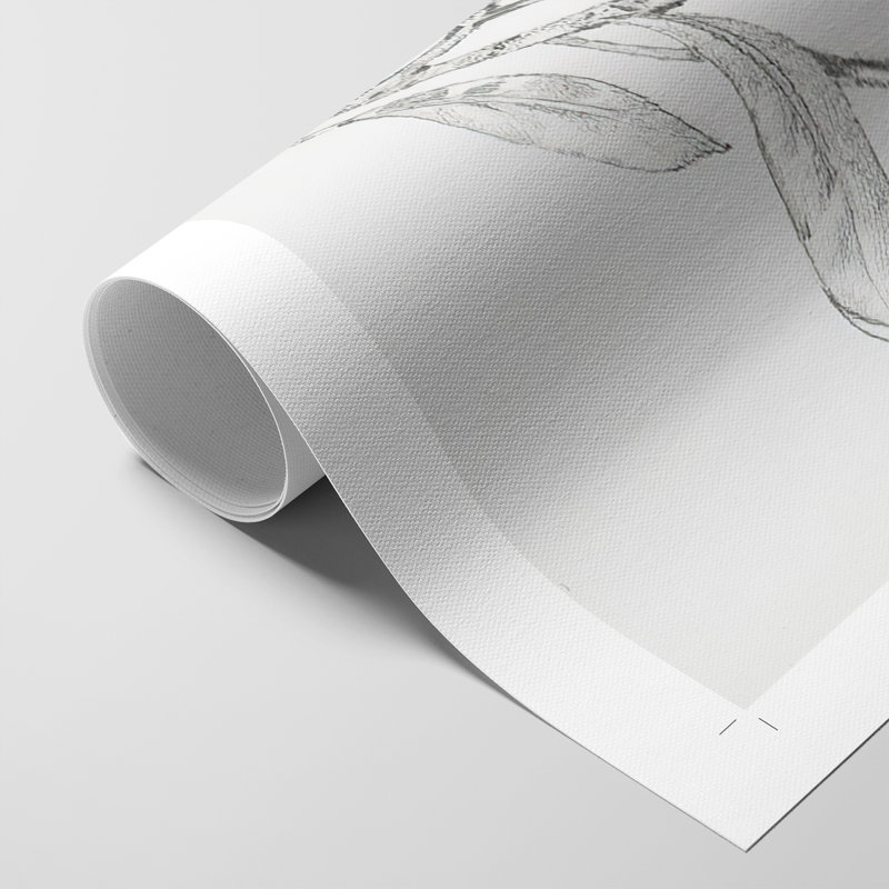 Branche de fruits I - impression sur toile seulement - non encadrée, H 18 po x l 12 po
