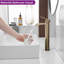 Single-Hole Single-handle Bathroom Faucet with Drain Assembly-87393557