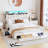 Sophialynn Upholstered Platform Bed-1452317033-1452317032