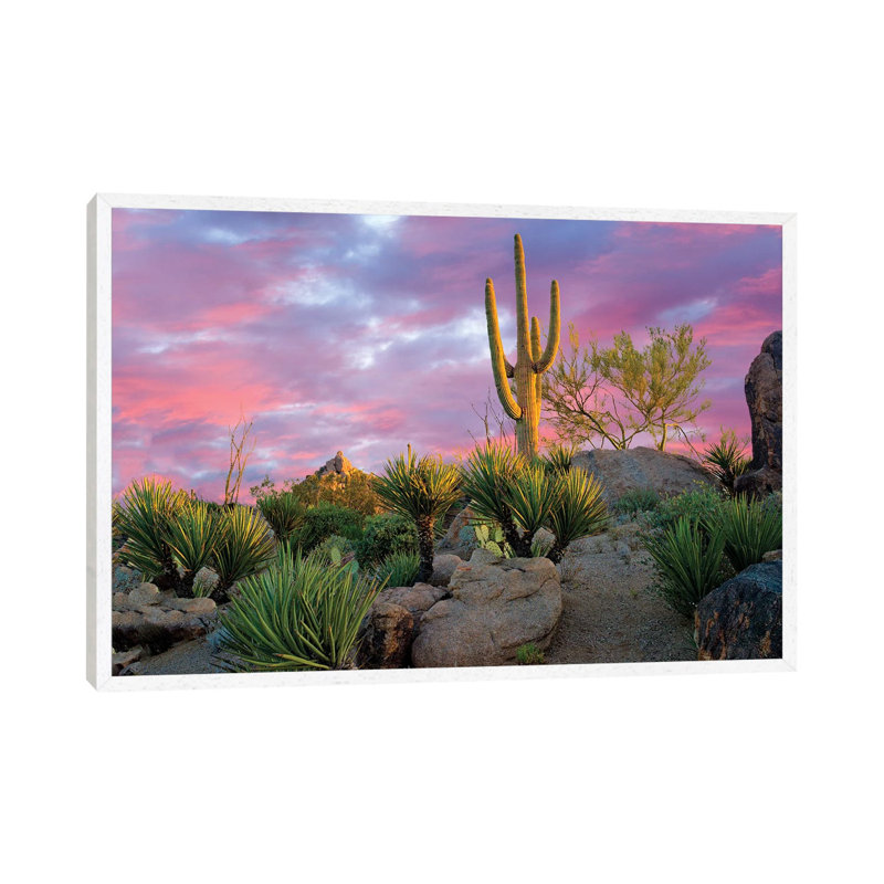 Cactus Garden Sunrise by Dennis Frates - Print on Canvas, 45.72cm H x 66.04cm W x 3.81cm D, White Framed
