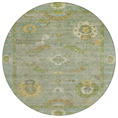 Machine Washable Indoor/Outdoor Kaczor ACN2229 Global Rug