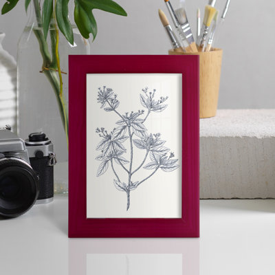 Indigo Botany Study III " Indigo Botany Study III "