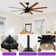 Bartling 52"/66" 8-Plywood-Blades Modern Ceiling Fan with Lighting Kit and Smart Remote