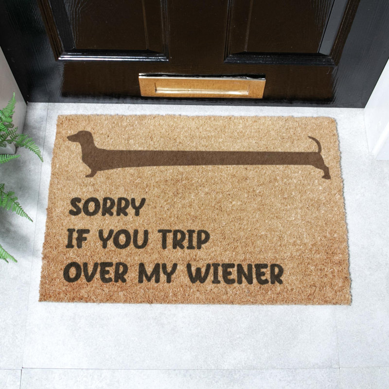 Bilyeu Non-Slip Indoor Doormat, Rectangle 40 x 60 cm