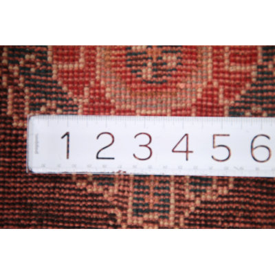 Vegetable Dye Traditional Area Rug 6x9