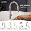 Siena 25" L x 22" W Drop-In Kitchen Sink with Basket Strainer