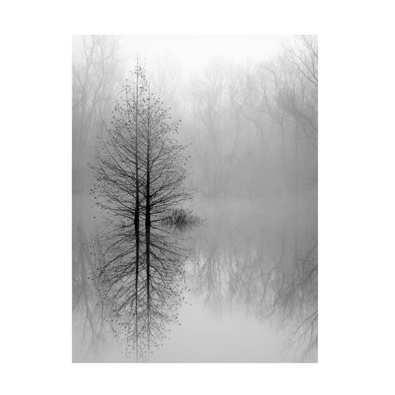 «Lake Trees In Winter Fog» sur toile, H 19 po x l 14 po x P 2 po