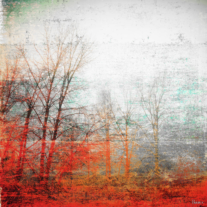 «Deep Forest» par Parvez Taj, reproduction d'art sur toile tendue, H 32 po x l 32 po