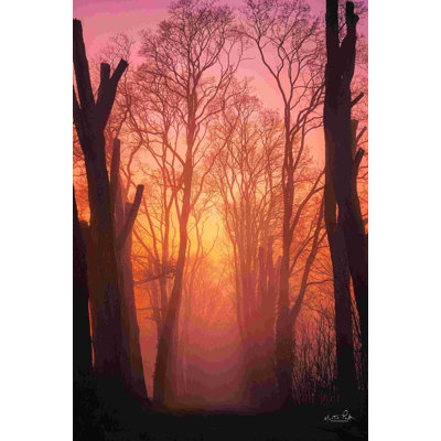 " Mysterious Mood "