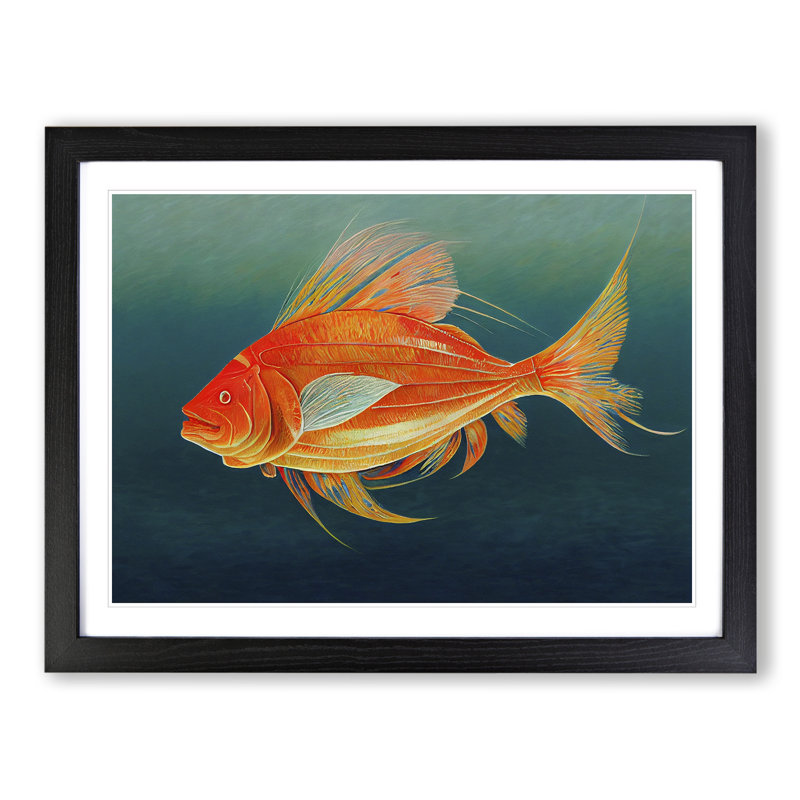 Fish Portrait Vol.4 - Framed Print, Black, 34cm H x 46cm W x 2cm D