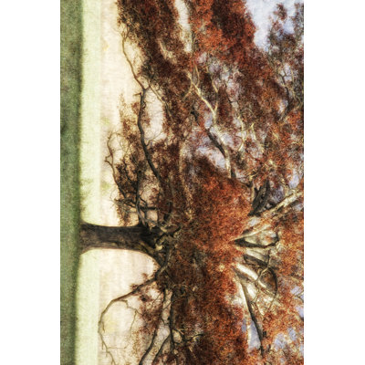 Sunbathed Oak I - Painting on