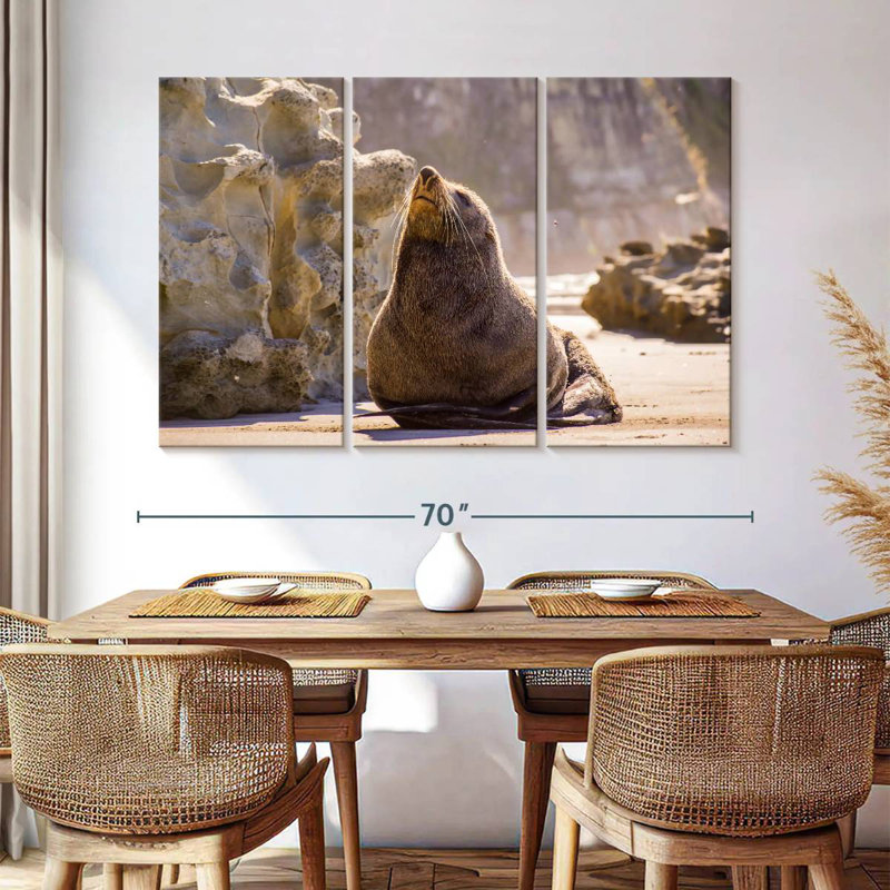 Sunbathing Seal