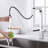 Pull Down Double Handle Kitchen Faucet-99069317
