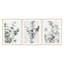 Eucalyptus Print by Studio III-81387726
