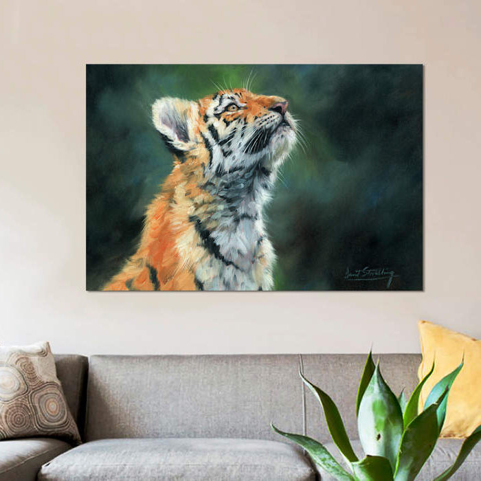 « tiger cub look up », impression sur toile, H 26 po x l 40 po x P 1,5 po, Pas de tapis, Toile tendue