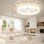 Ceiling Fan with LED Lights-682262297