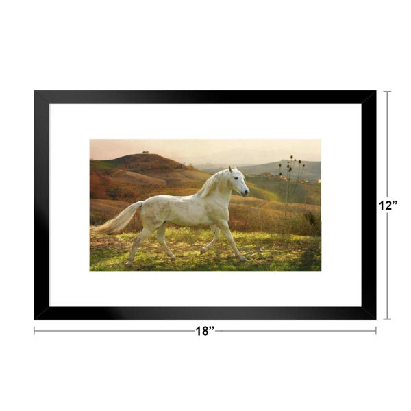 Galloping Brown Horse Front On Canvas Print