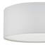 Ansonia Flush Mount-34418241