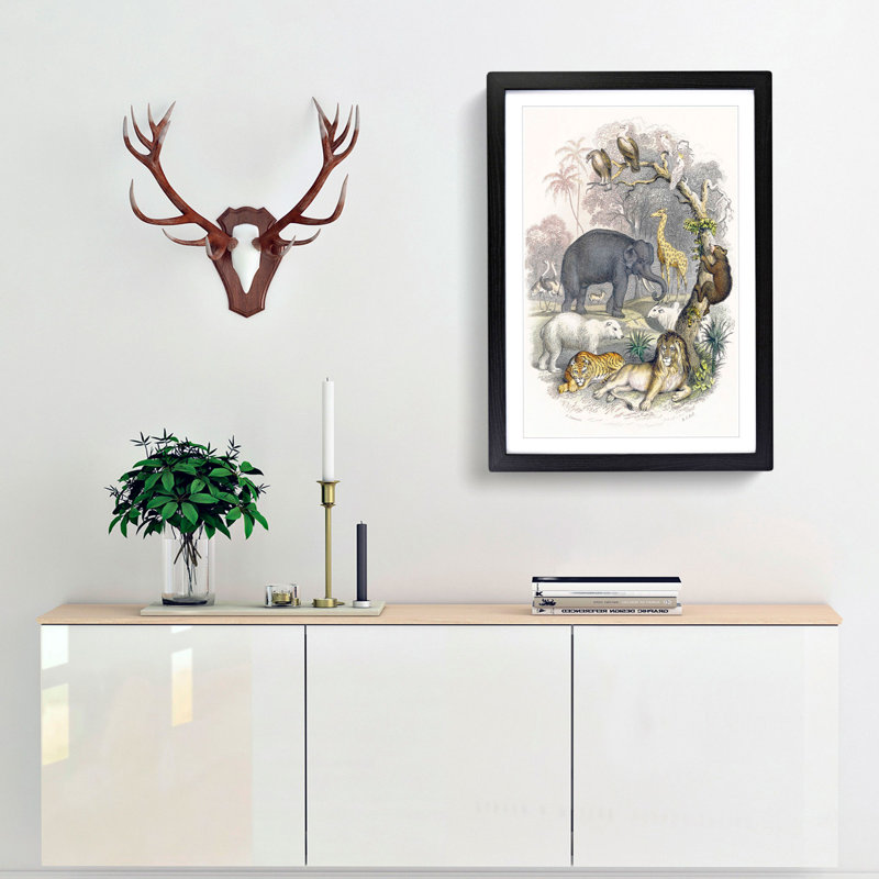 Animal Kingdom Illustration by Oliver Goldsmith - Framed Print, 45cm H x 33cm W x 2cm D, Black Framed