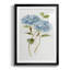 «Almaden Petite Blue Hydrangea II», reproduction encadrée de qualité supérieure - prête à être accrochée-935623179-935623177