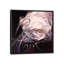 « fleur ii », reproduction sur toile-29085572-72796637-72796638
