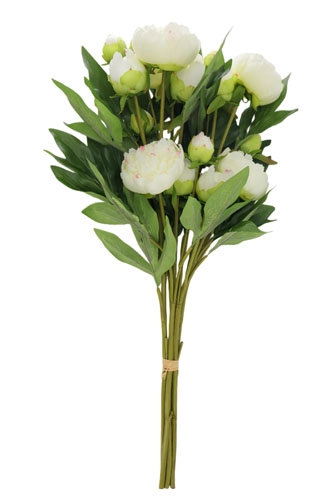 Artificial Cream Peony Stems