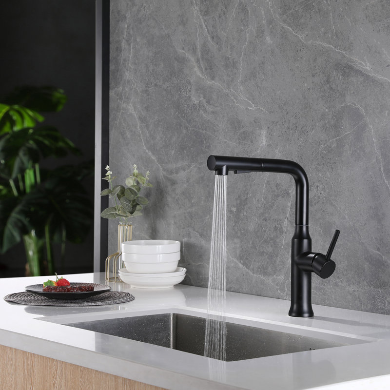 Belfry Kitchen Willesden Pull Out Kitchen Faucet, Black