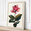 Magnolia Study Botanical - Wrapped Canvas-394435344-394435350
