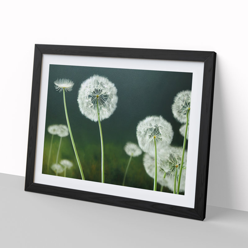 Mesmerising Dandelion Flowers - Single Picture Frame Print, Black, 34cm H x 46cm W x 2cm D