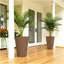 Jardinières chics, ensemble de 2 jardinières à fleurs, jardinières hautes d'extérieur-528803686