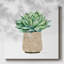 Cactus neutre III, impression sur toile-157199360