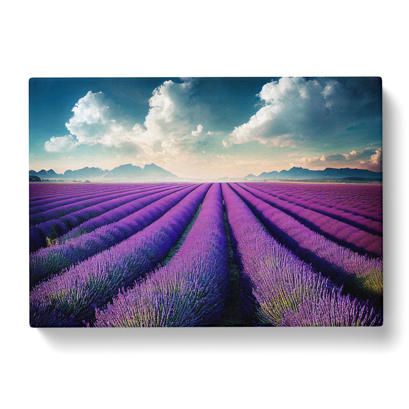 Creative Lavender Flower Field - Wrapped Canvas, 50cm H x 76cm W x 3cm D