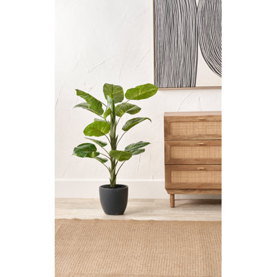 120cm Faux Plant in Cement Pot