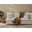 Cozy Blanket-17548476-124606278