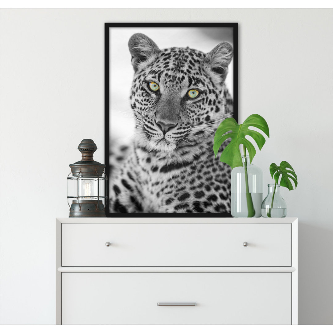 Gerahmter Grafikdruck "Beautiful Leopard"