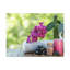 No Frame Print on Canvas-1636503446