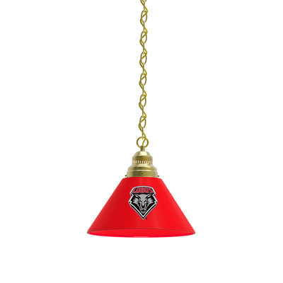 1 - Light Single Pendant