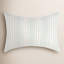 Aiden Bedding-1636497540