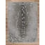 Tapis gris / gris à imprimé animal Dancy-268047602