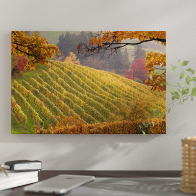 " Autumn Vineyard Landscape, Newberg, Yamhill County, Oregon, USA " by Janis Miglavs
