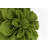 Floral Pillow Cover-1126891877-1126891892