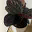 Customer photo 3 of 4