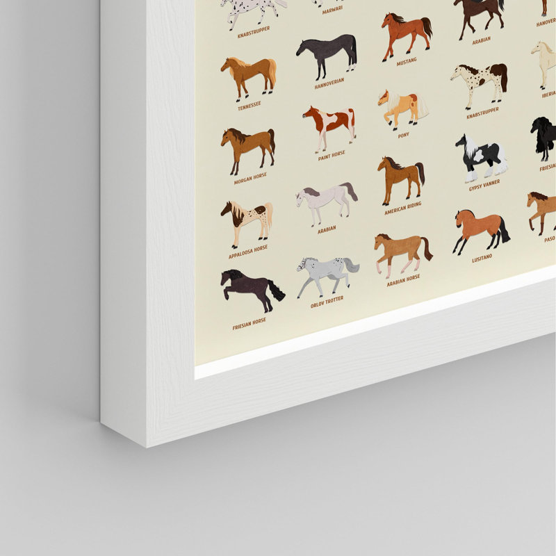 Affiche mondiale de Global Horse Breeds - Guide illustré des variétés de chevaux dans le monde, Blanc, H 14 po x l 11 po