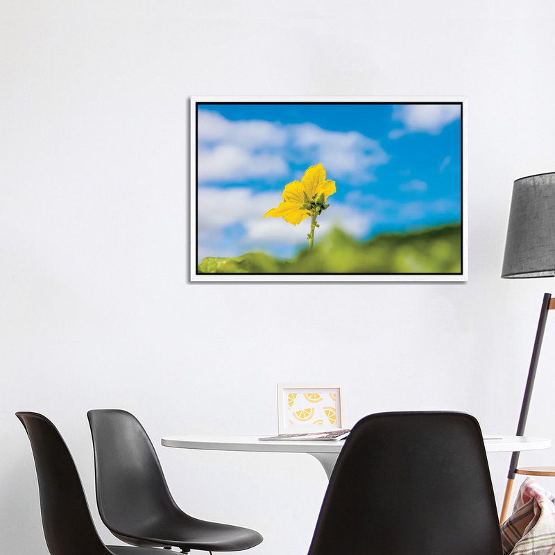 Close-Up Of Flower, Corning, New York, USA by Panoramic Images - Print on Canvas, 26 cm H x 18 cm W, White Framed